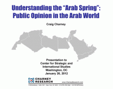 Understanding-the-Arab-Spring-Cover